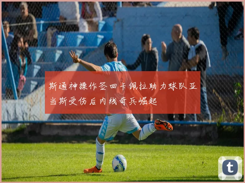 斯通神操作签回卡佩拉助力球队亚当斯受伤后内线奇兵崛起